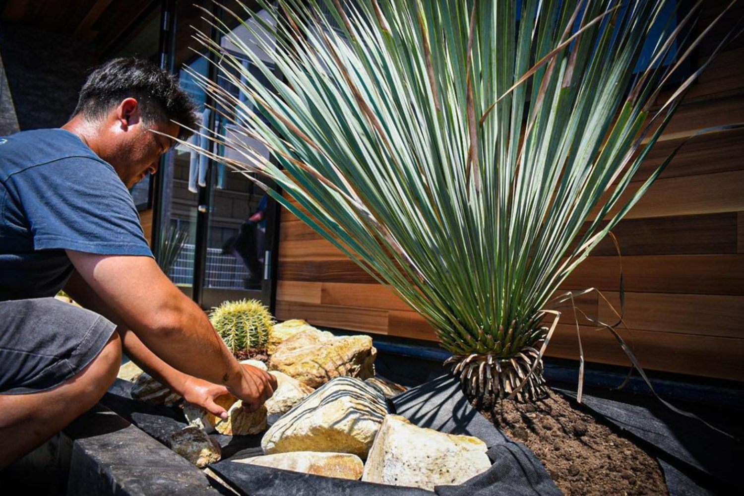 家の顔になる！かっこいい＆目隠しにもなるおすすめシンボルツリー